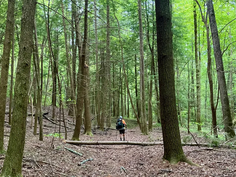 Tengo Hambre walks on the Pinhoti Trail