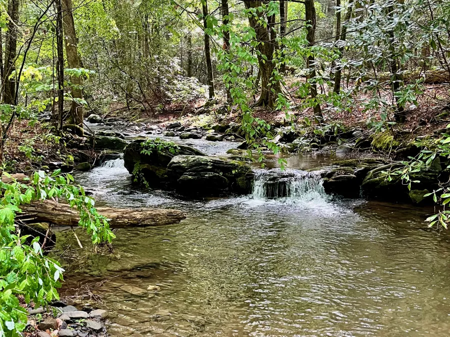 Rock Creek