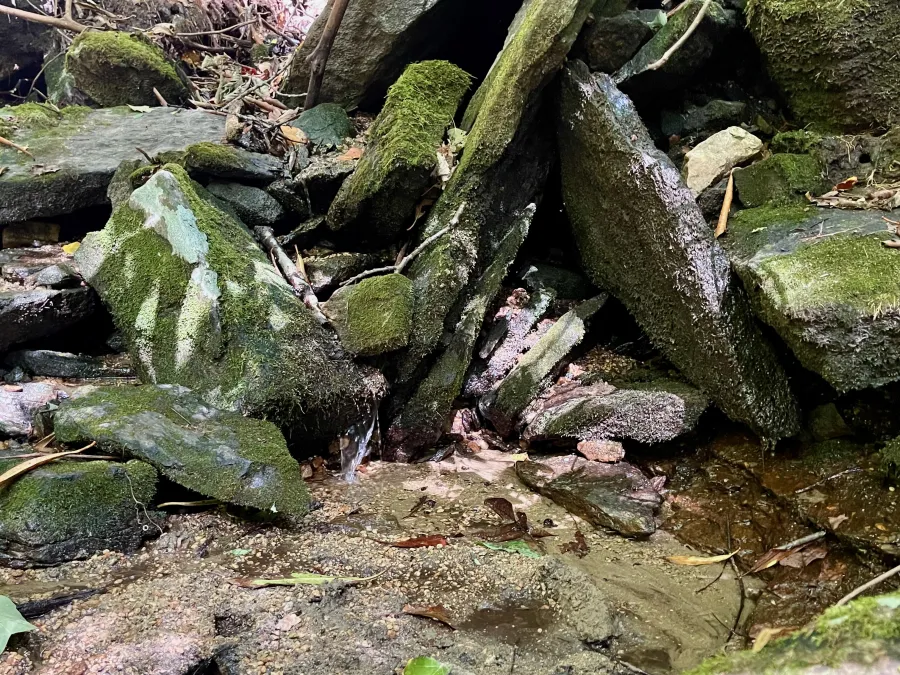 A trickle of water