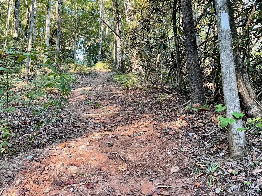 A climb with no steps