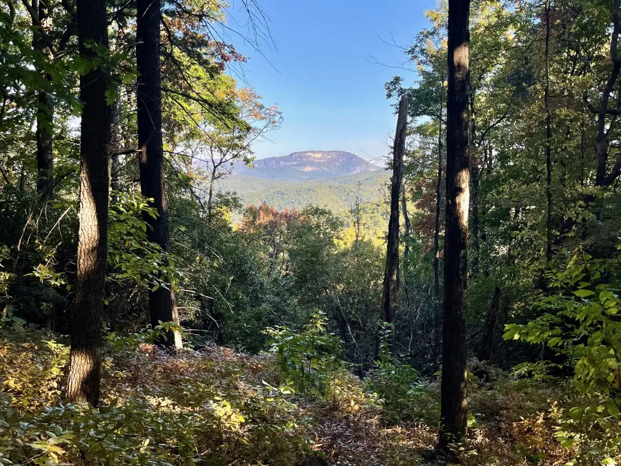 A view of Whiteside Mountain from eight miles away