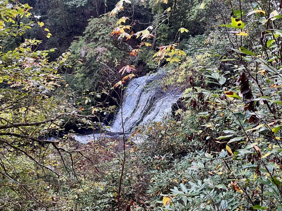 Lick Log Falls