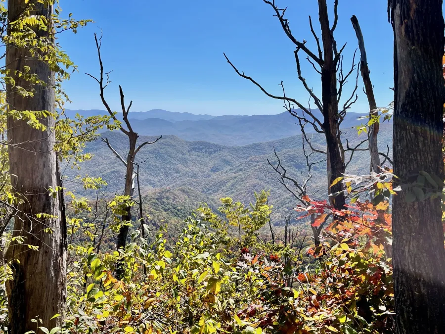 A view from a ridge