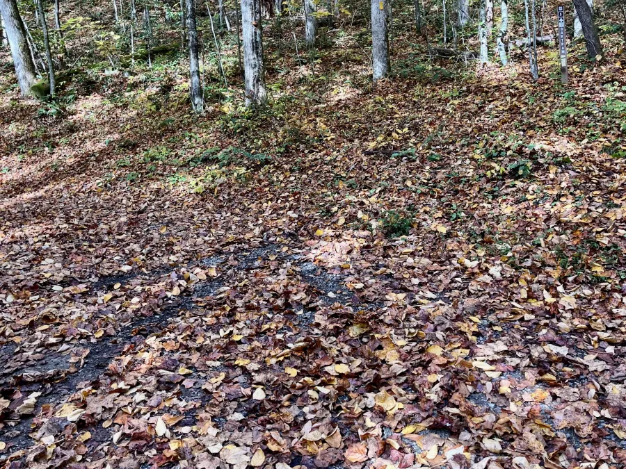 An arrow scratched into the dirt