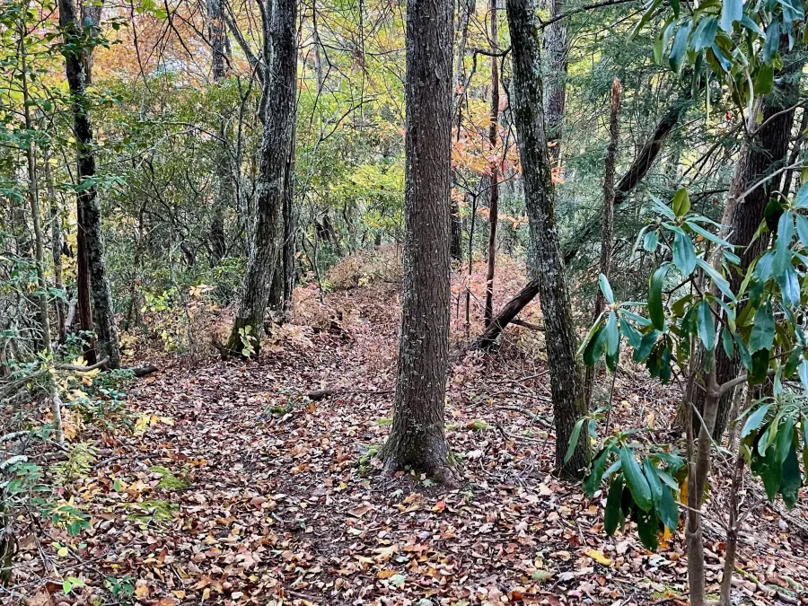 The trail descends