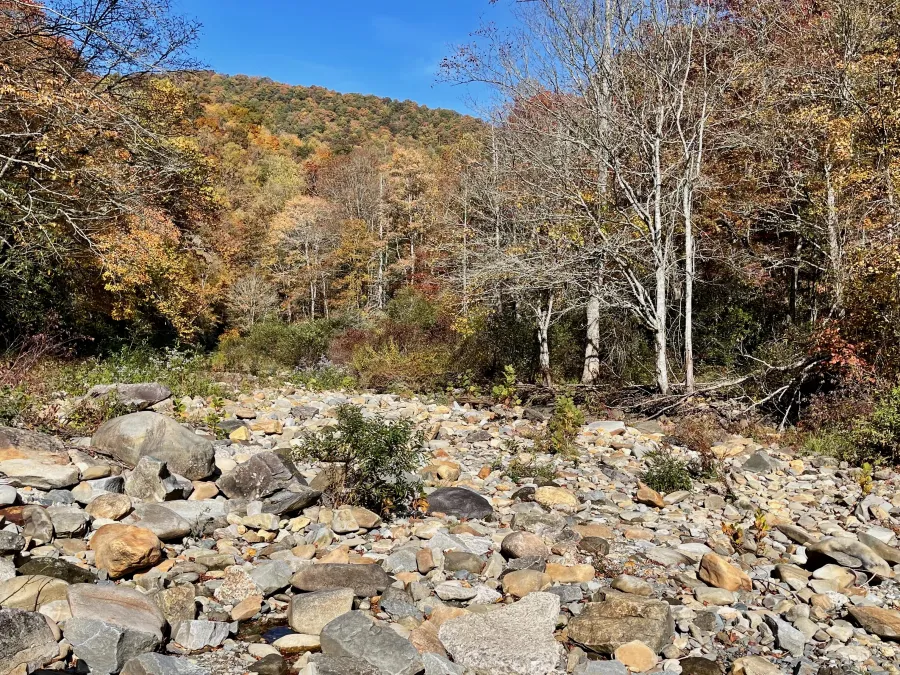 A dry river bed