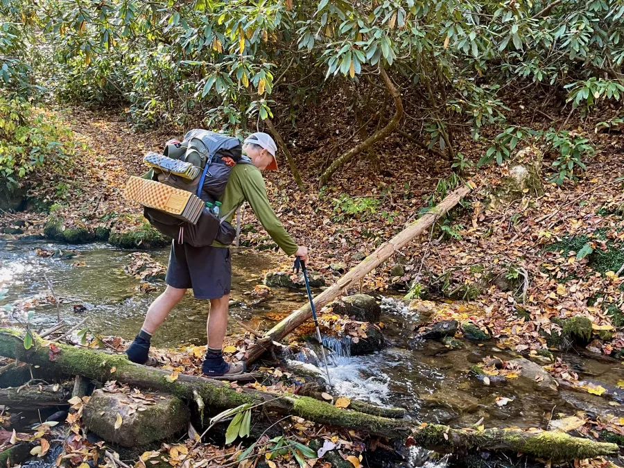 Polecat crosses a stream