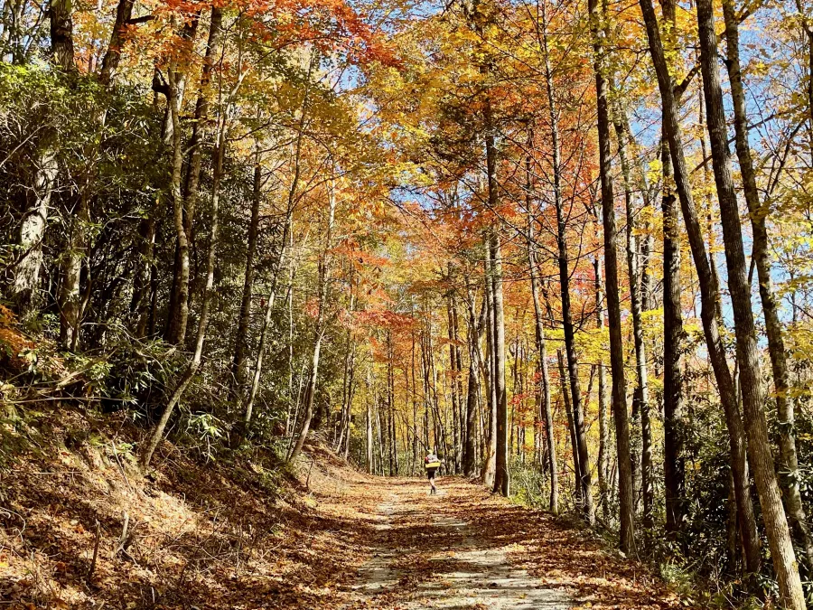 A road next to the river