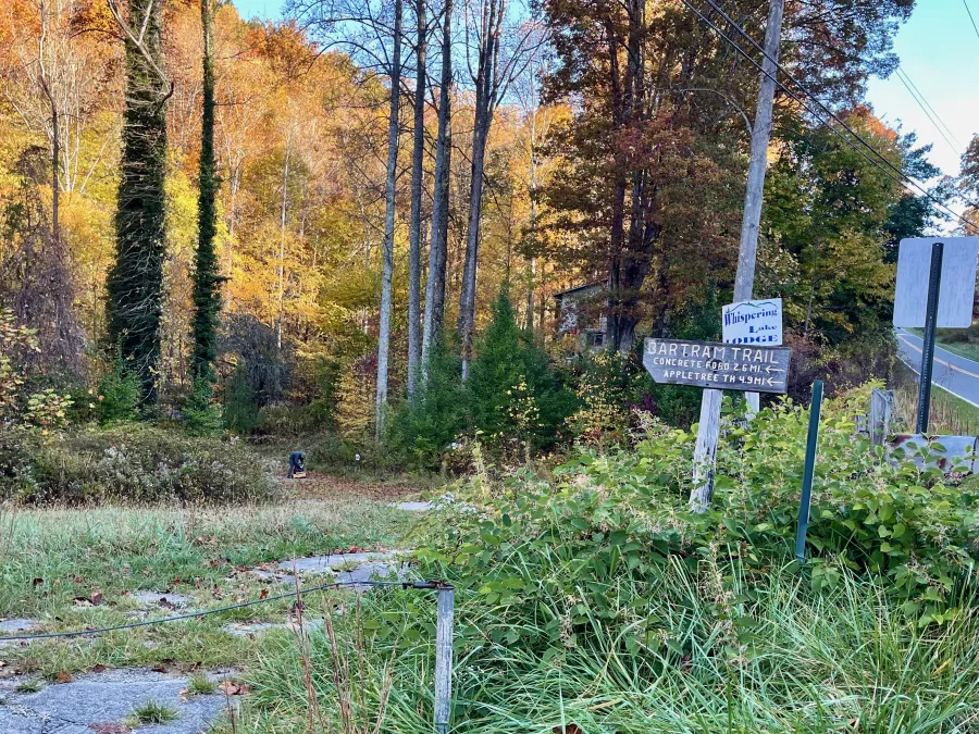 The trail turns from Wayah Road