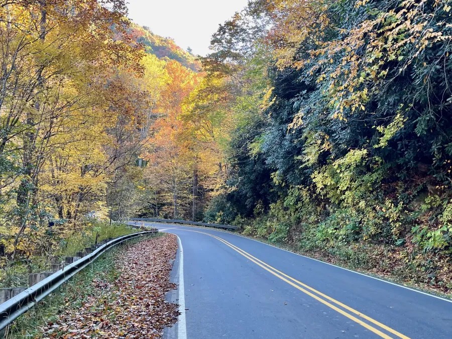 Wayah Road