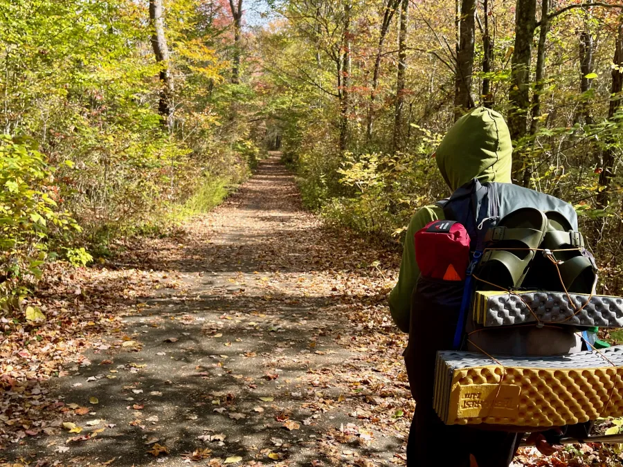 Polecat walks on Nantahala Bikeway