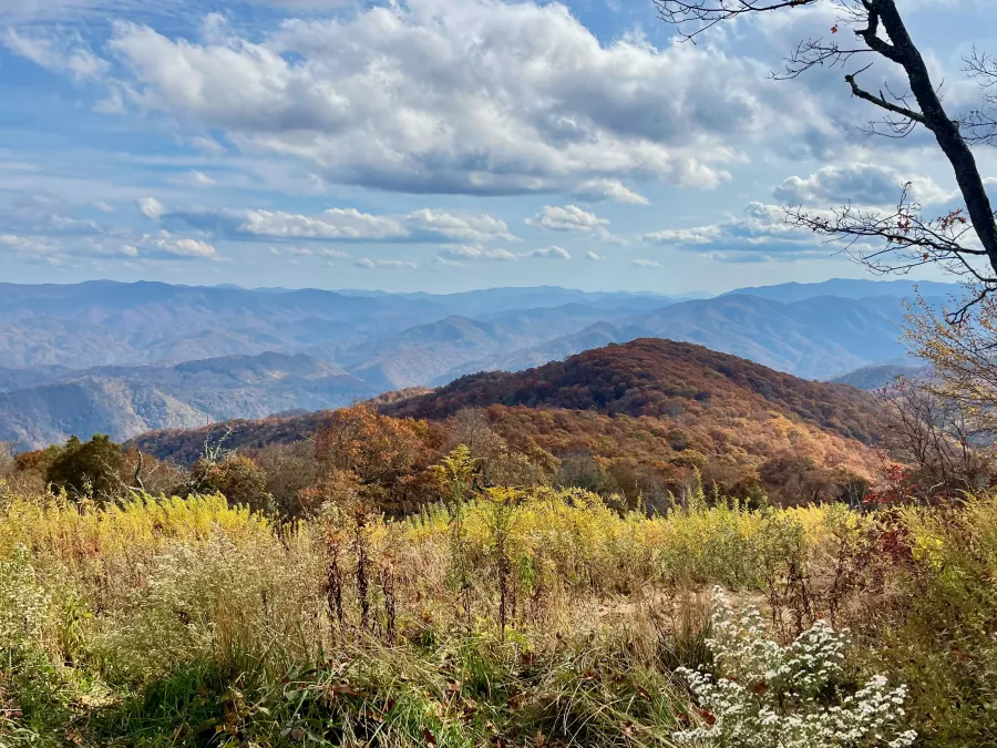 A view from the top of Cheoah Bald