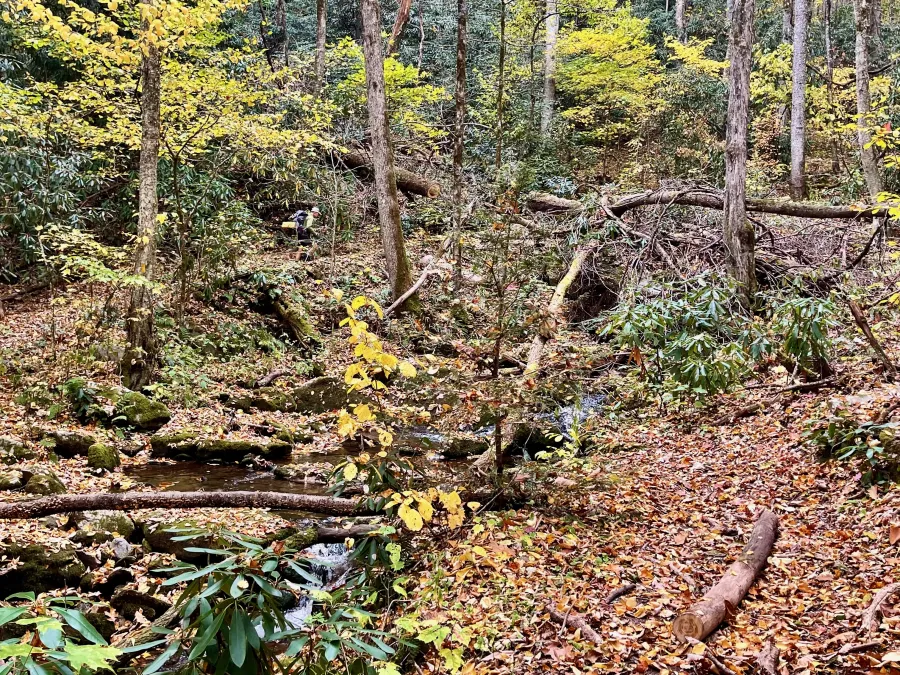 Crossing Ledbetter Creek