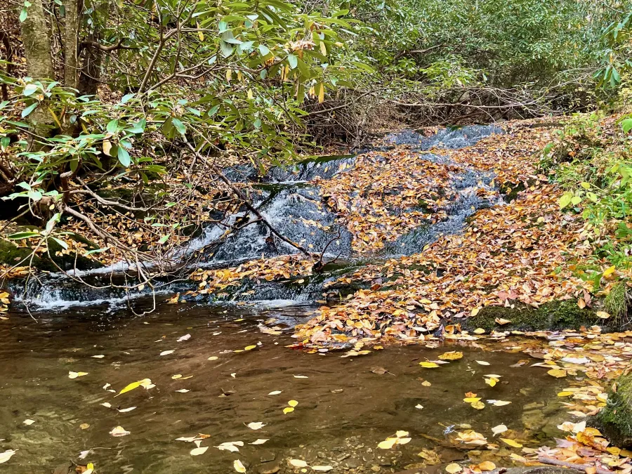 Ledbetter Creek