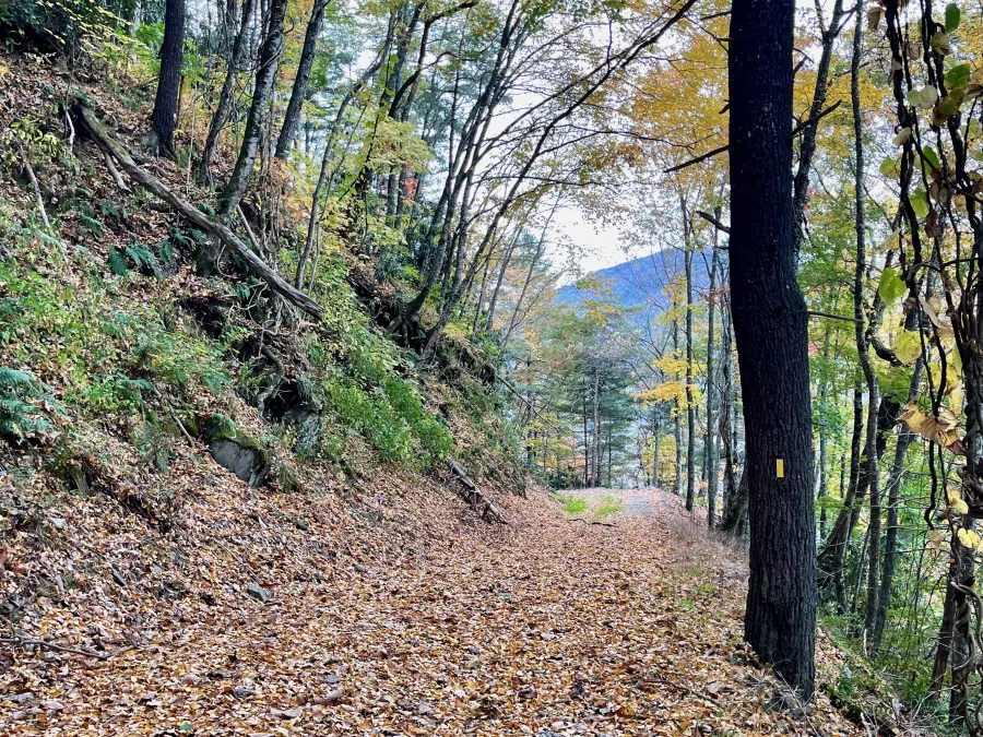Descending a gravel road