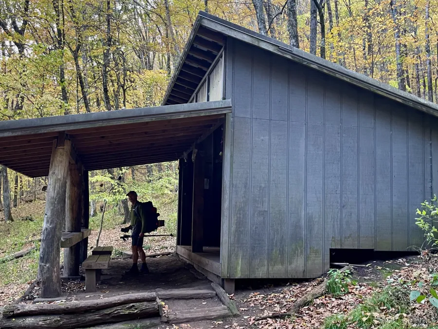 Polecat checks out Sassafras Gap Shelter