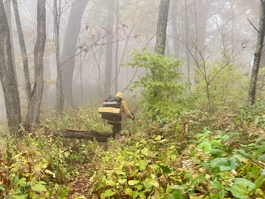 Leaving Sassafras Gap Shelter