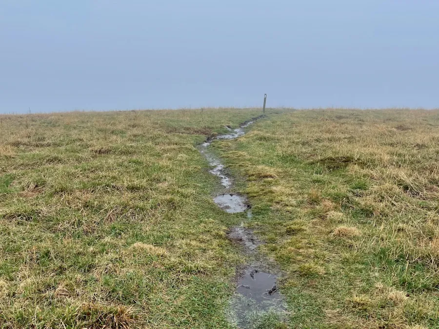 No view at the top of Big Bald because of low clouds