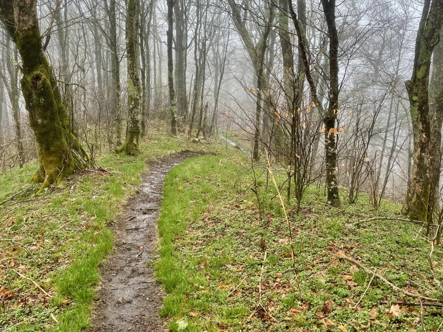 A trail along a ridge