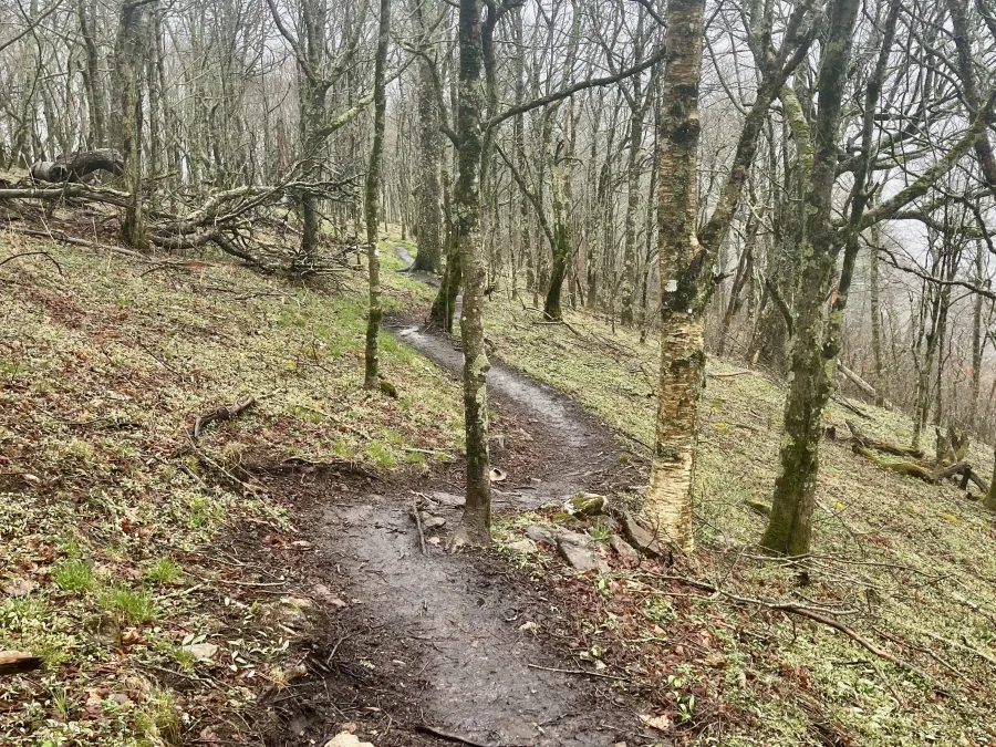 The trail descends a slope