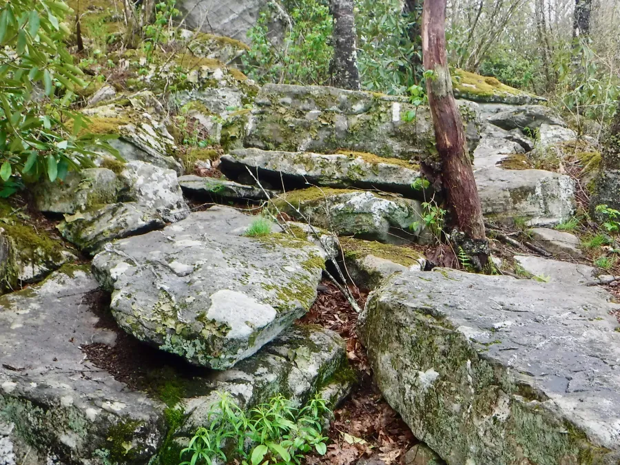 Big Rocks section of the AT
