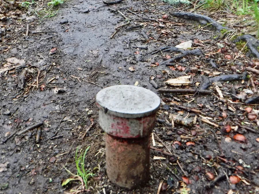 Survey marker in the trail