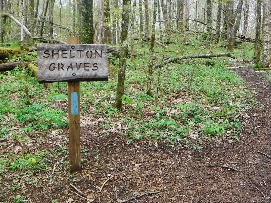 Side trail to Shelton graves
