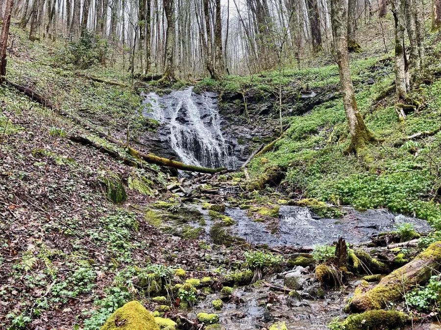  A cascade on Sugarloaf Branch