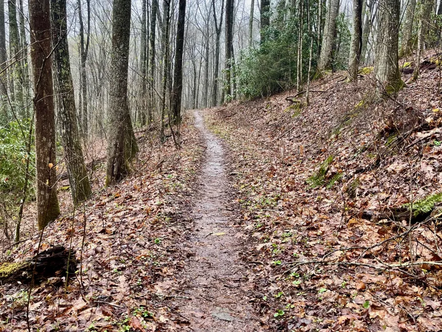 A flat section of trail