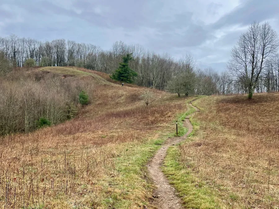 Crossing a ridgetop meadow