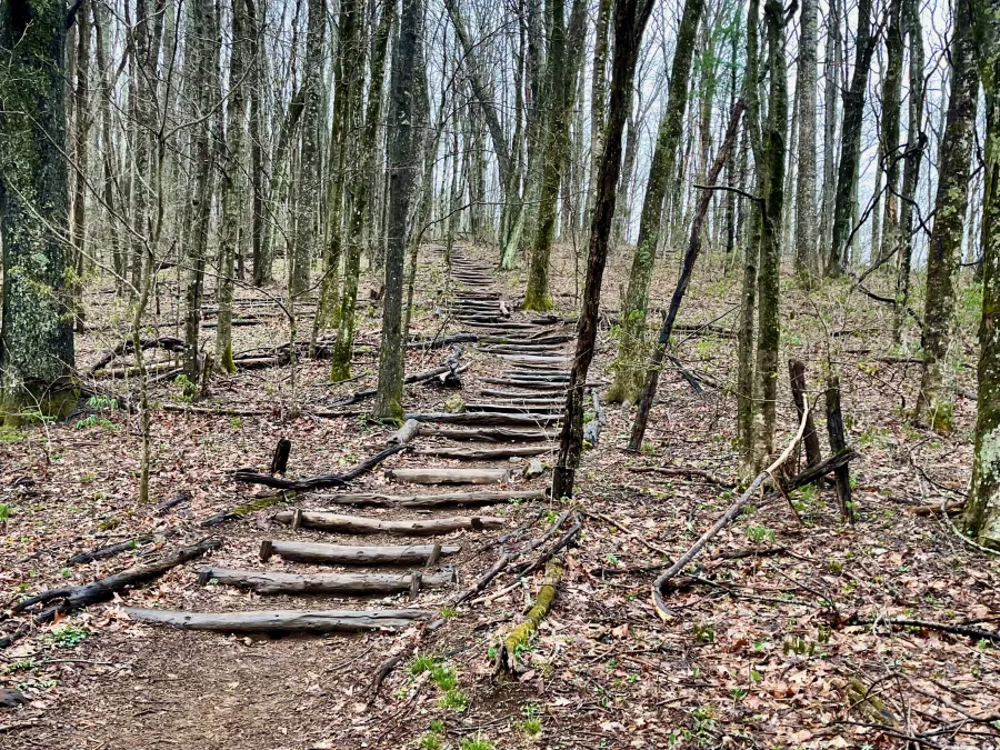 Steps going up Hogback Ridge