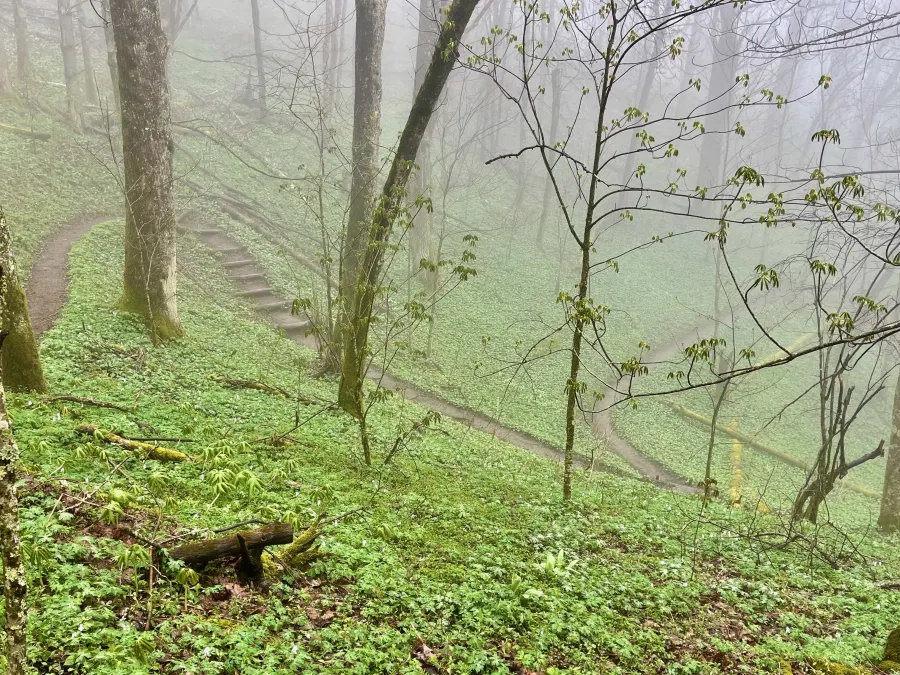 Switchbacks 