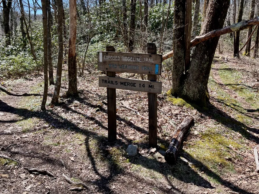 A trail junction