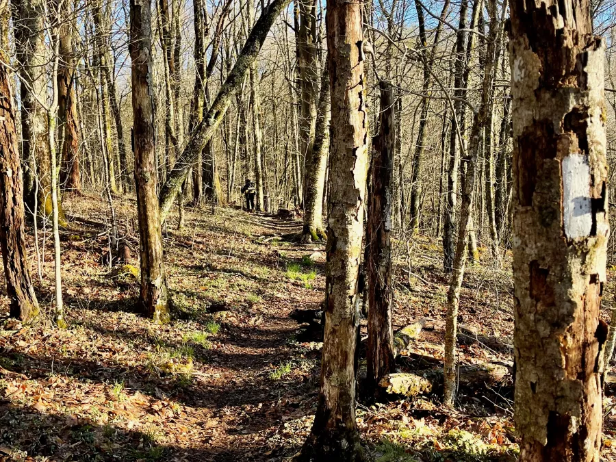Hiking on the Appalachian Trail