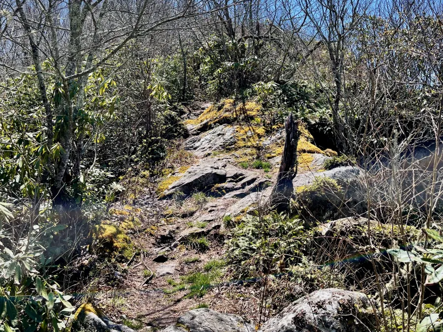 The AT goes over the top of Big Firescald Knob