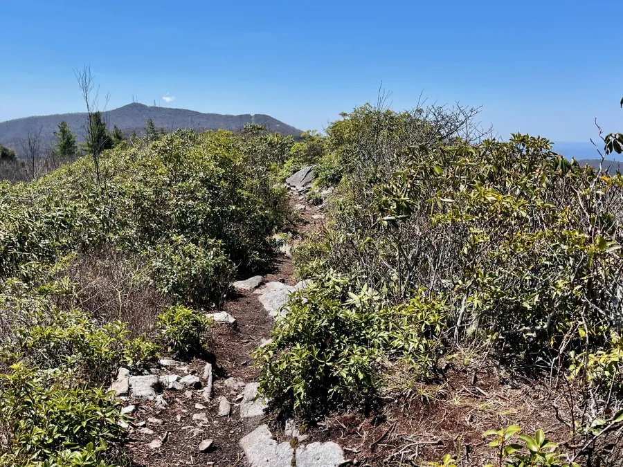 A view of Camp Creek Bald