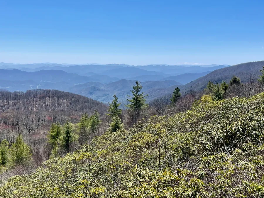 A view of mountains from Big Firescald Knob