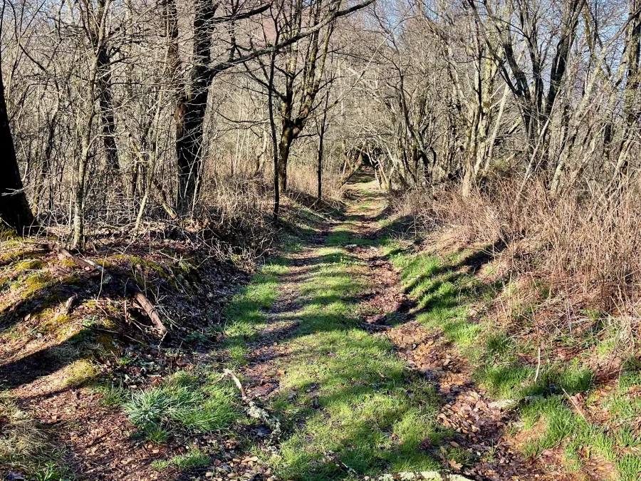 The trail follows an old farm road