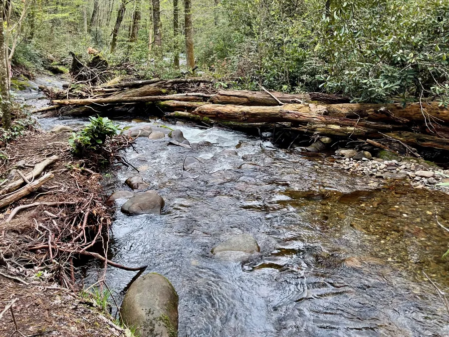 Logs piled up on Deep Creek