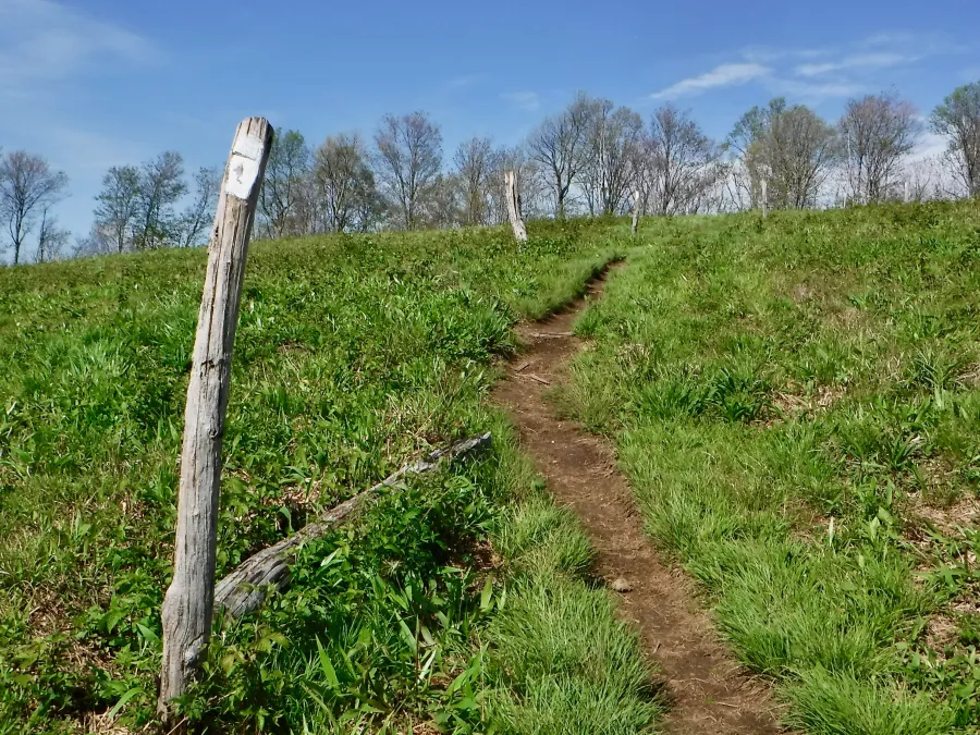 Walnut Mountain