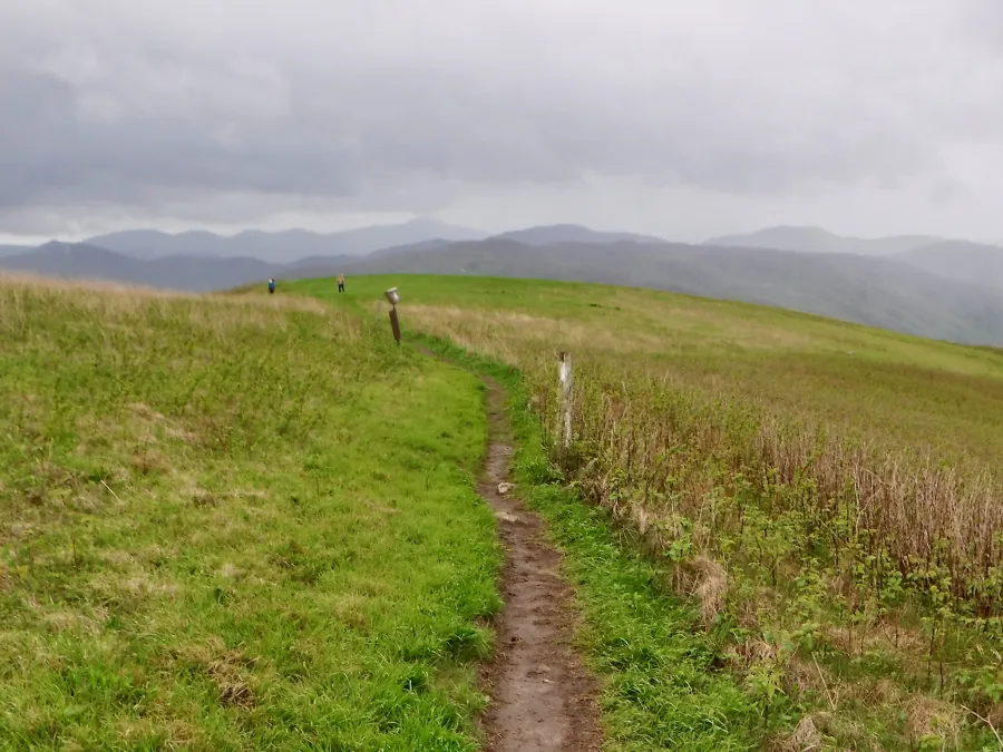 The trail over Max Patch
