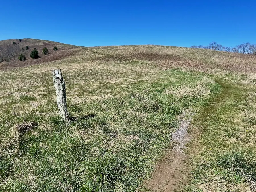 Climbing toward Max Patch