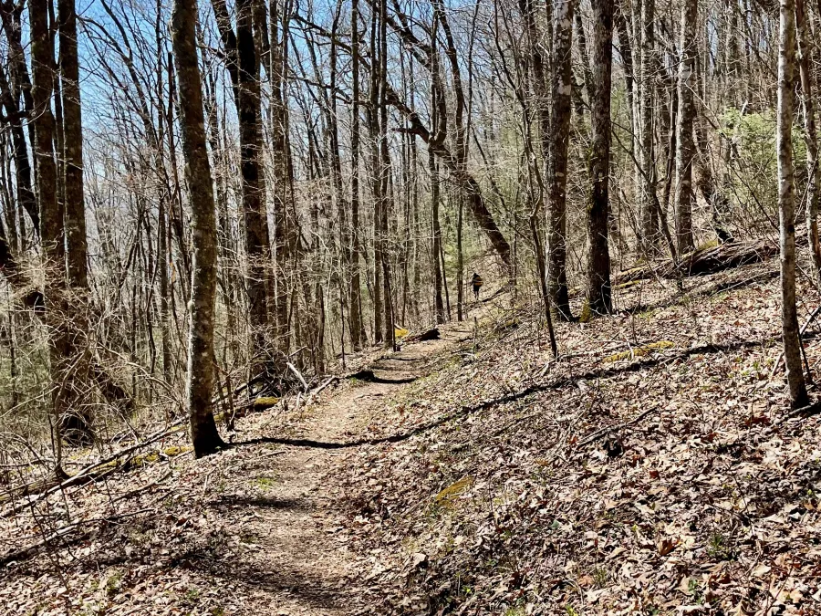 The trail is smooth on the descent from Max Patch