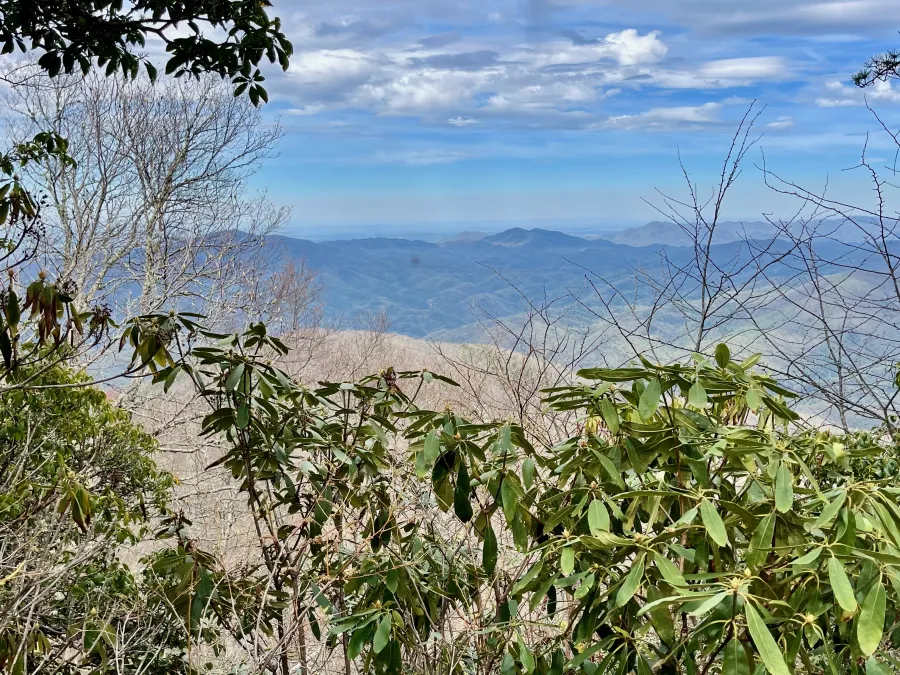 A view looking down from Mt. Cammerer