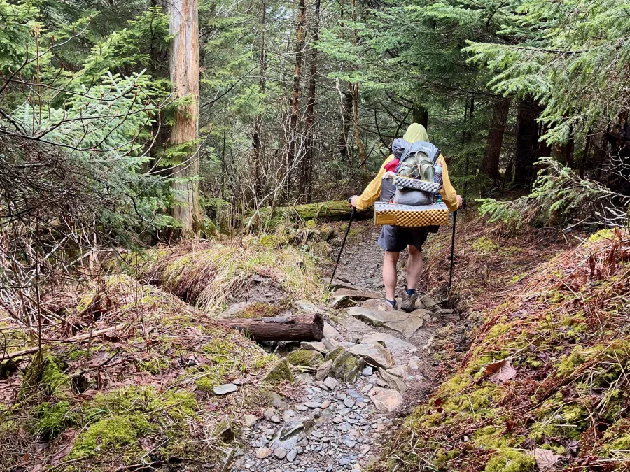 The trail descends as it follows a ridge in the Smokies
