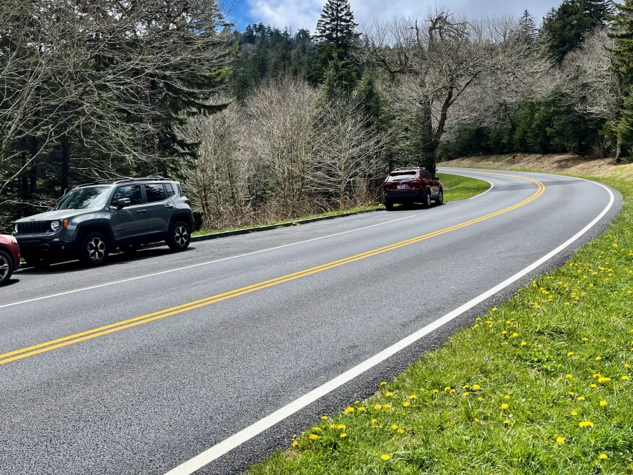 Clingman's Dome Road