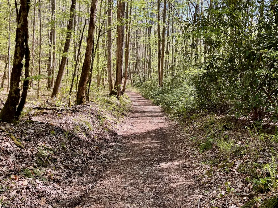 The trail flattens