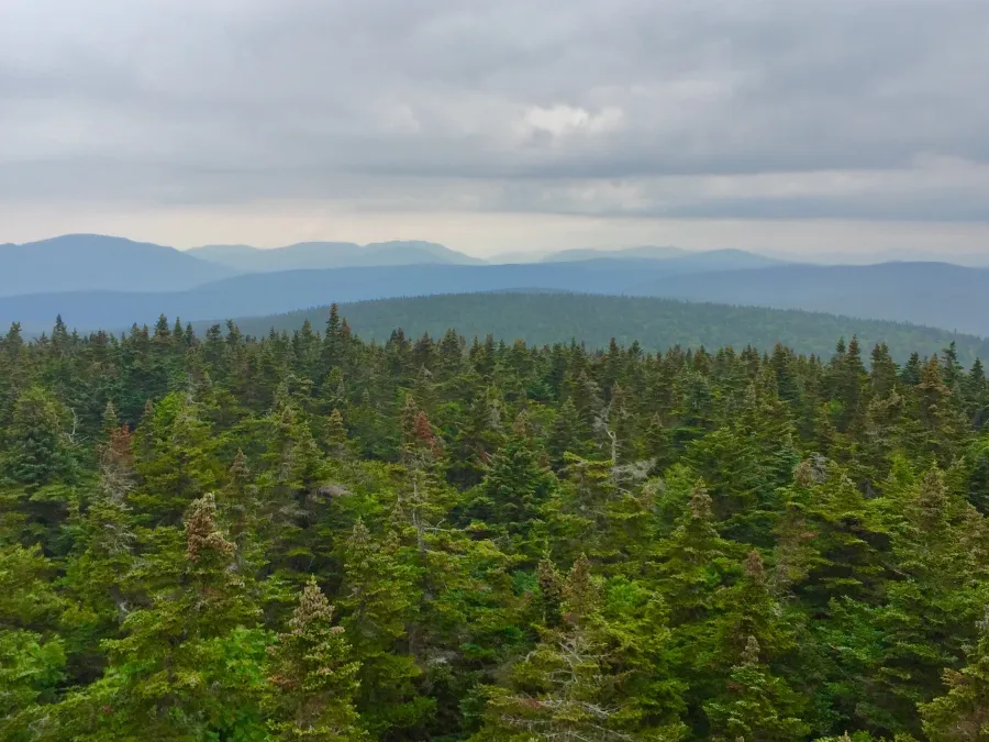 View from Glastenbury Mountain fire tower