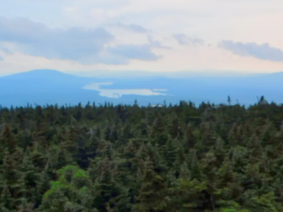 View from Stratton Mountain tower