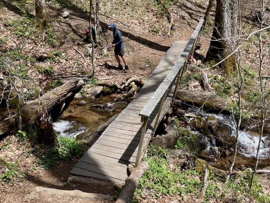 A footbridge over Woodfin Creek